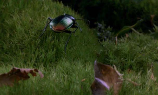 bug010